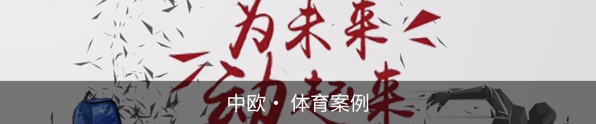 中欧· 体育案例